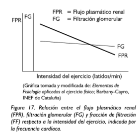 relacion entre FPR FG FF e intesidad ejercicio